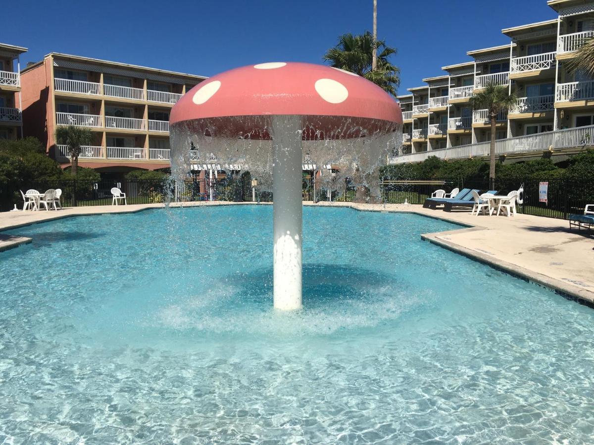 Apartment Pool View