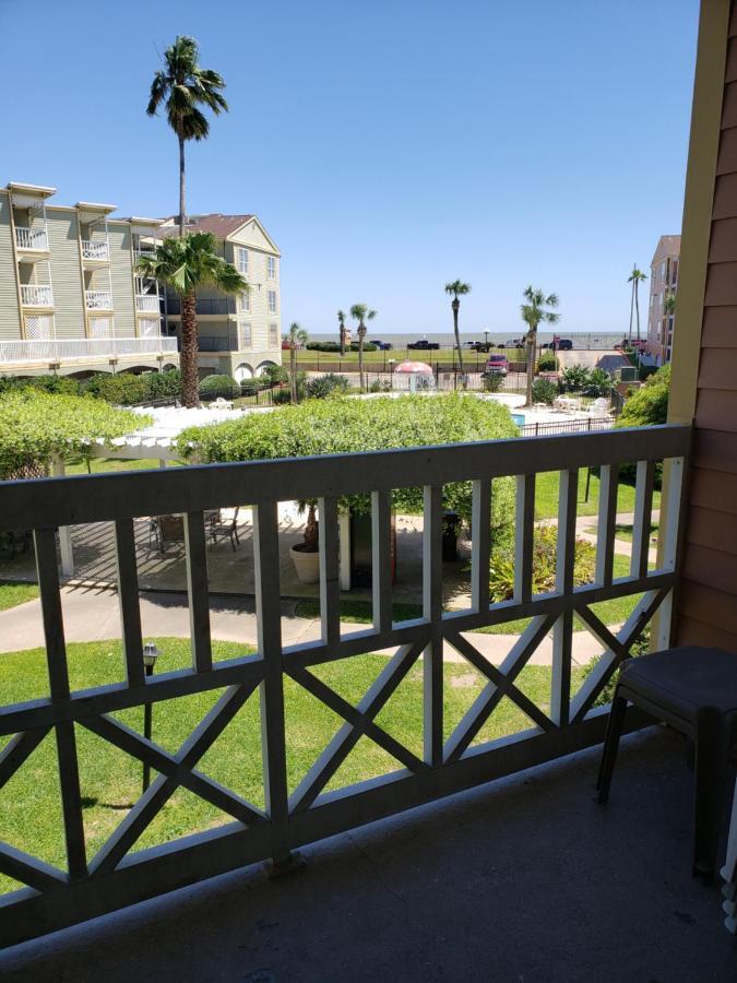 Apartment Pool View