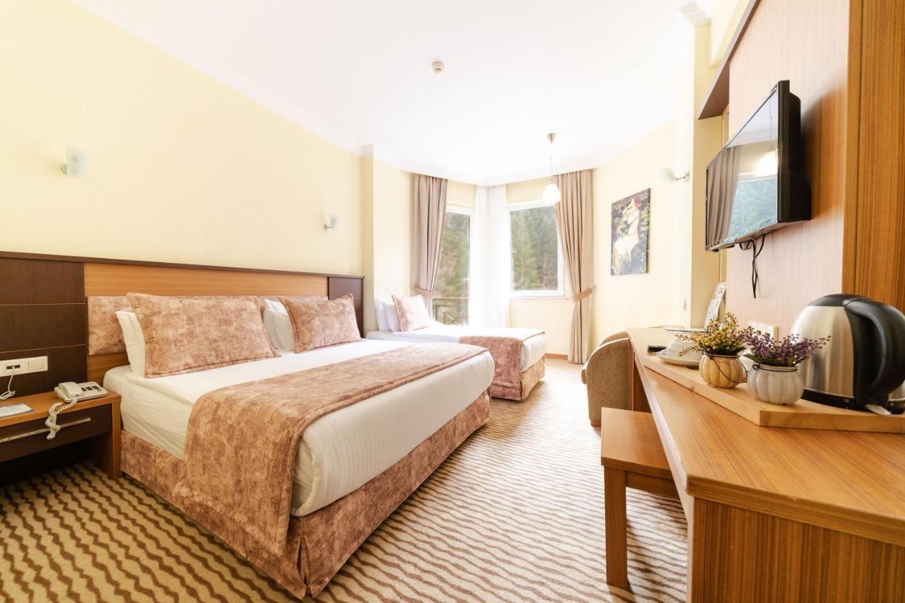 Standard Triple Room,959531653:JPEG