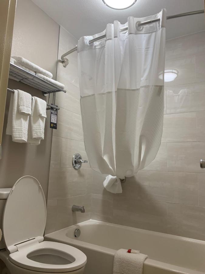 King Room - Non-Smoking,961451017:JPEG