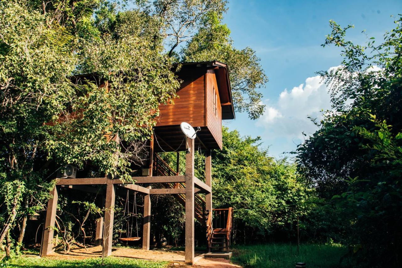 Bird’s Nest Tree House