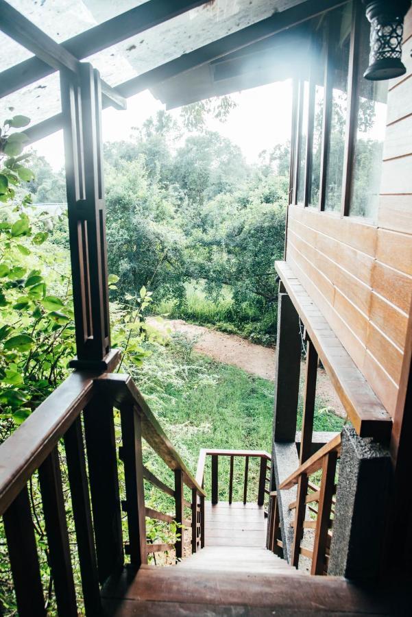 Bird’s Nest Tree House