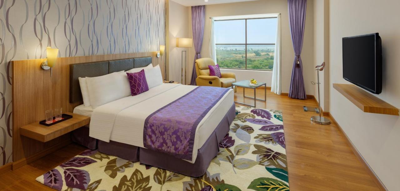 Club Double Room,968752771:JPEG