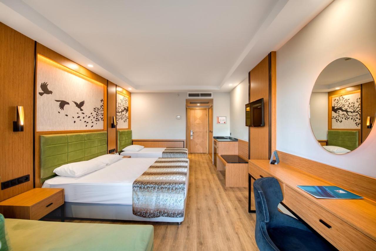 Standard Large Room