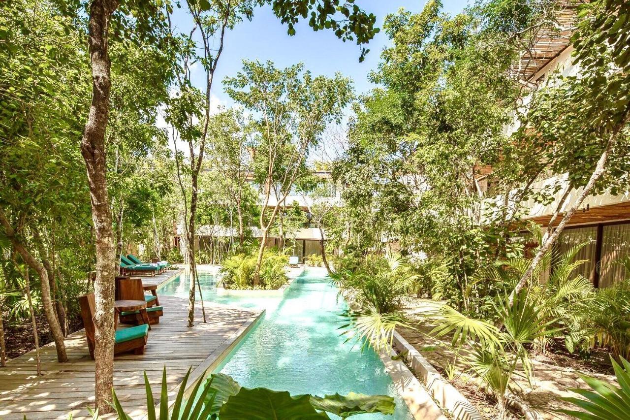 Deluxe Double Jungle Room Terrace 1 King Bed