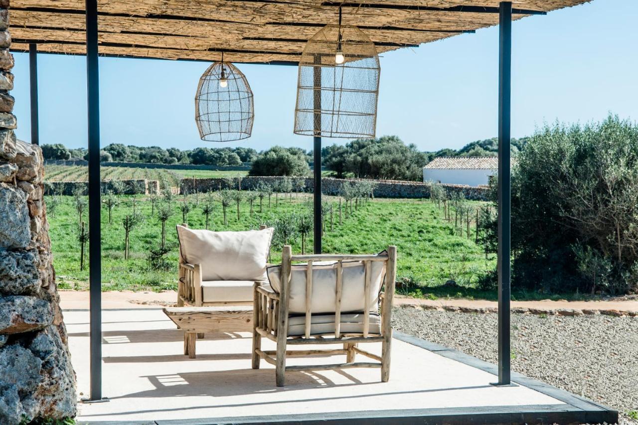 Torrevella Classique,995179126:JPEG