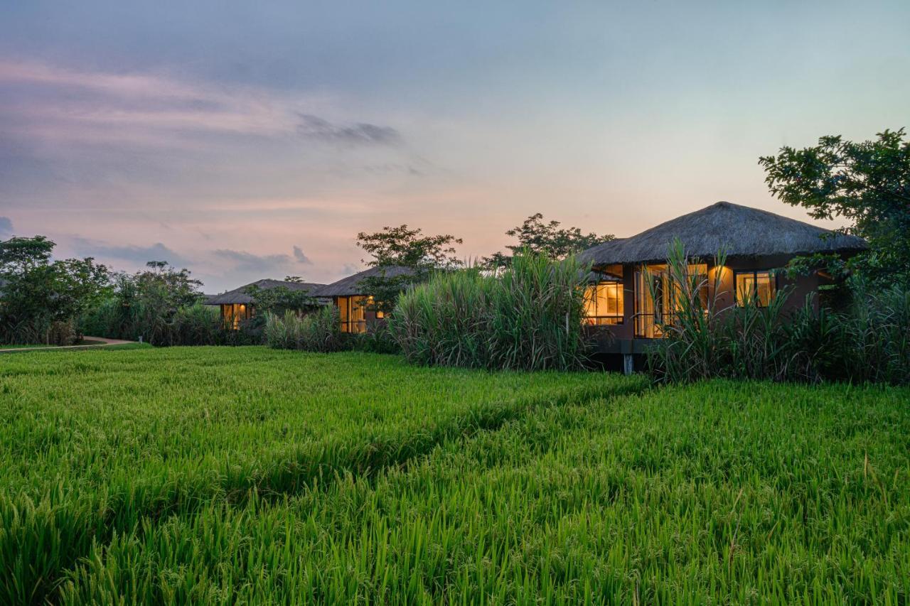 Deluxe Villa,998027481:JPEG