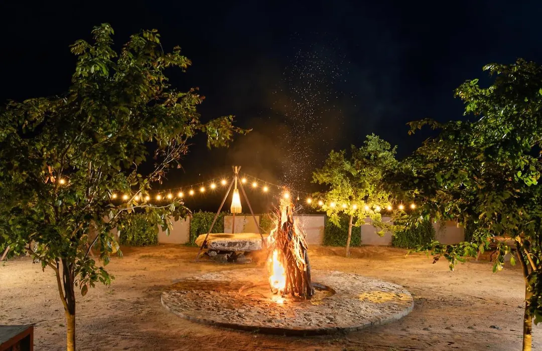 Wild Culture Yala-1
