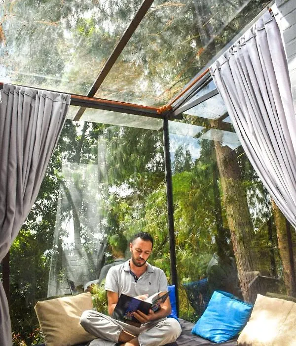 Tiny Houses Premium - Casa Barcelona-1