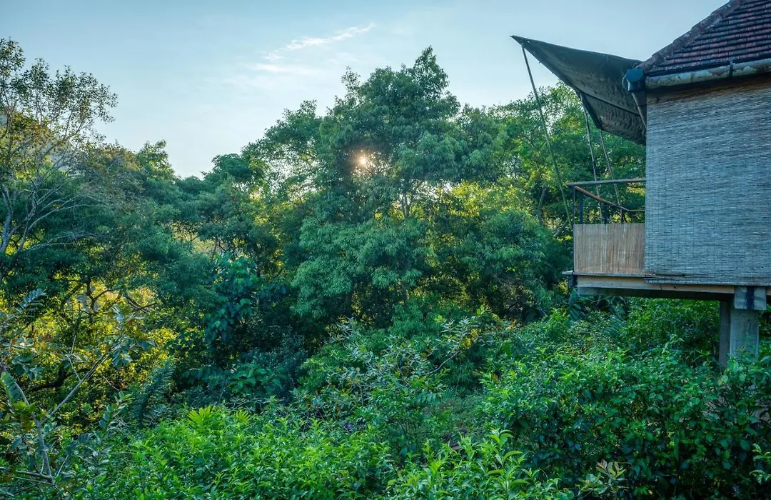 Living Heritage Koslanda-1