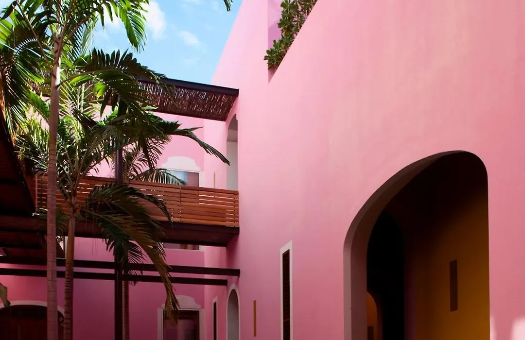 Rosas & Xocolate Boutique Hotel And Spa Merida, A Member Of Design Hotels-1