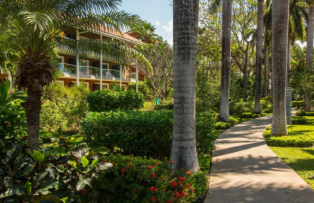 Occidental Tamarindo-1