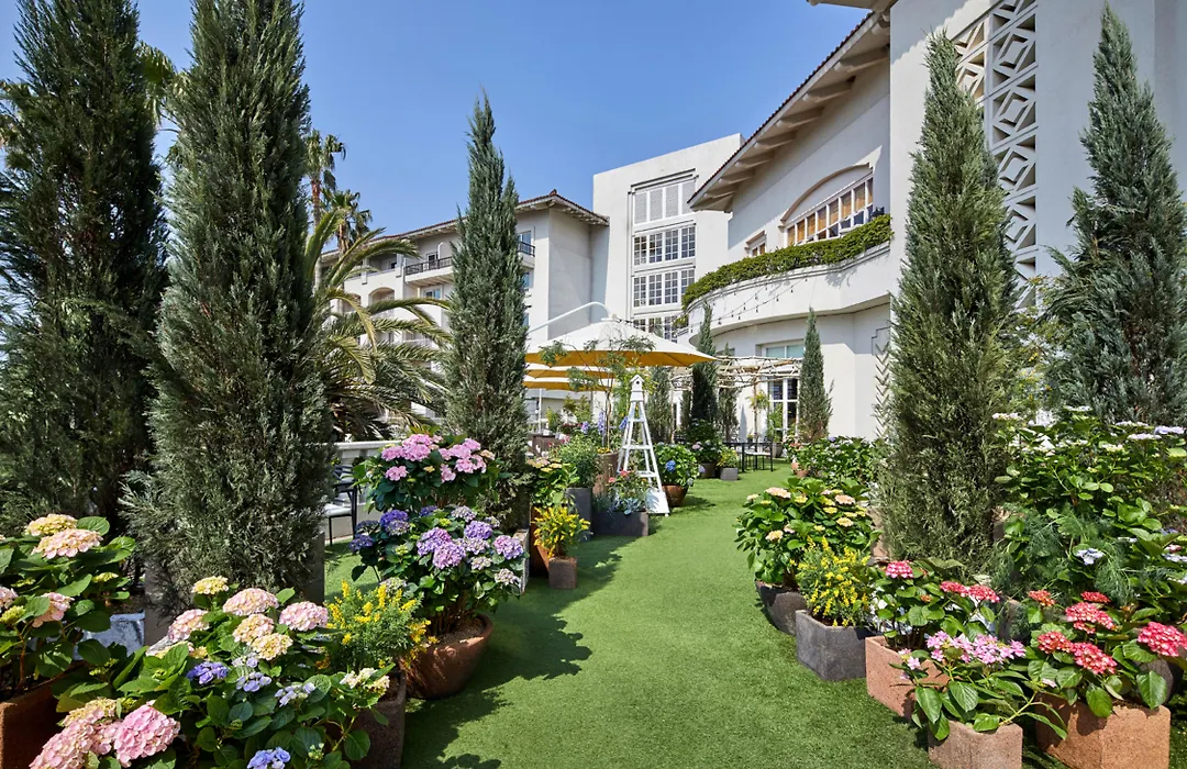 The Shilla Jeju-1