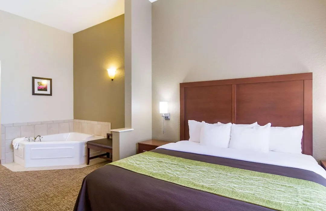 Comfort Inn Blackshear Hwy 84-1