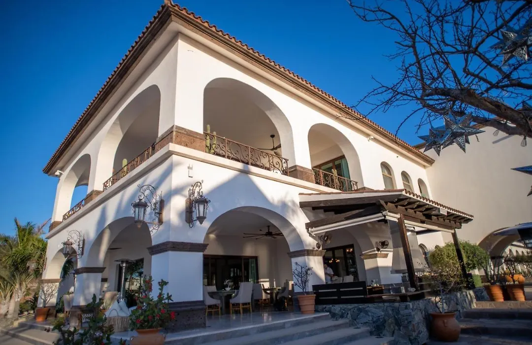 Orchid House Baja-1