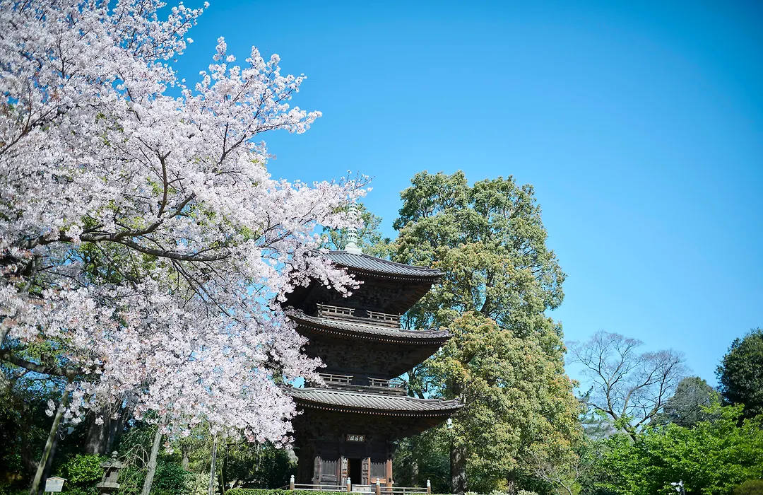 Hotel Chinzanso Tokyo-1