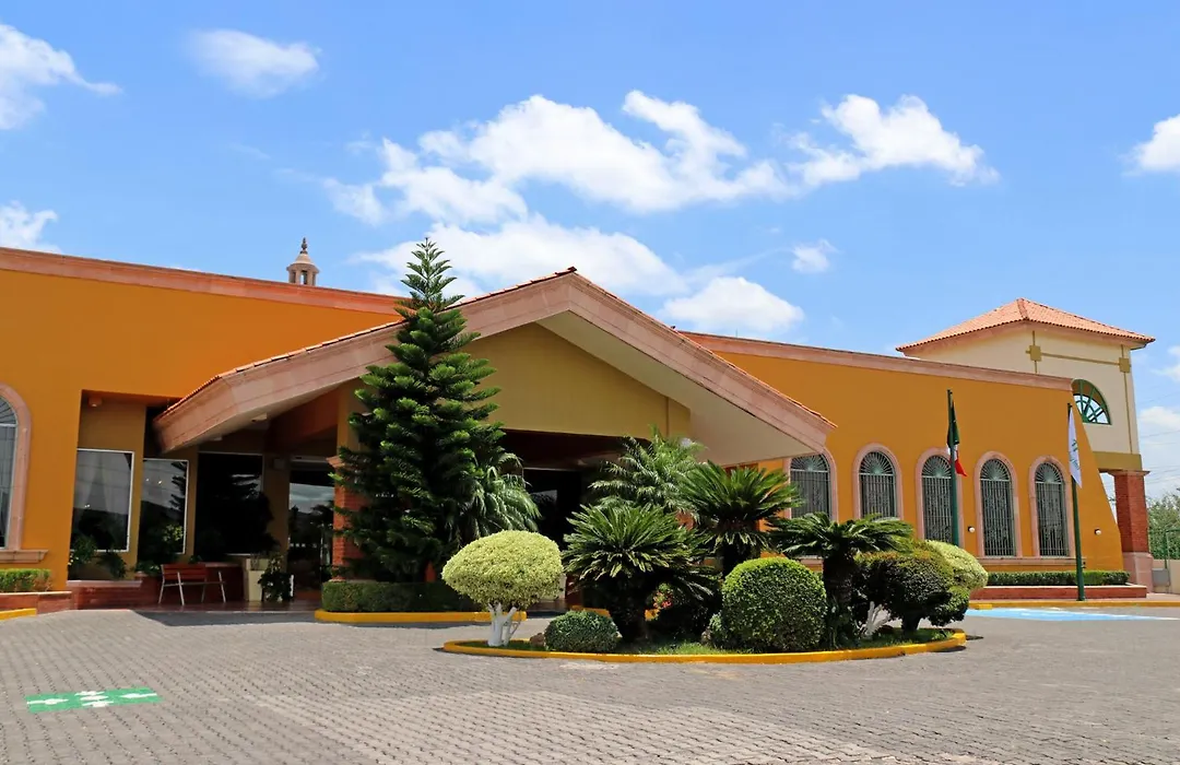 Holiday Inn La Piedad By Ihg-1