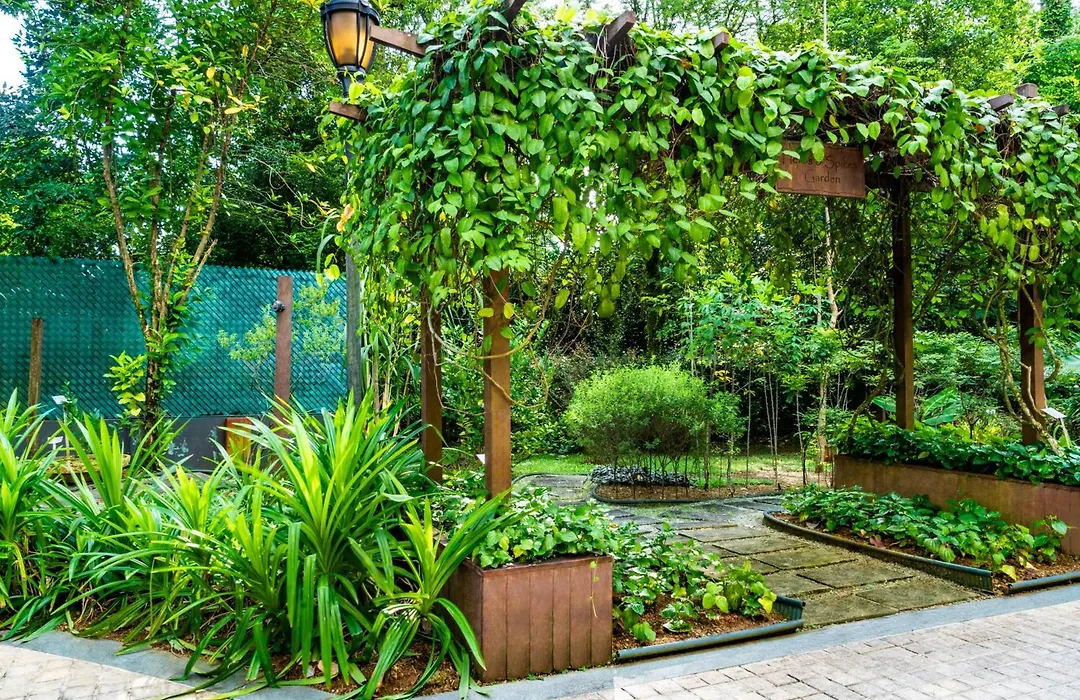 Treetops Executive Residences-1