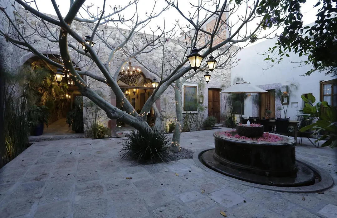 Orchid House San Miguel De Allende-1