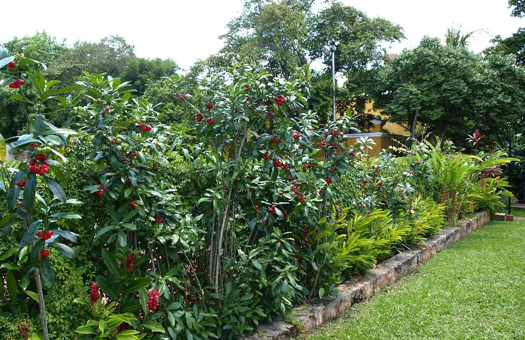 Ecotel Quinta Regia-1