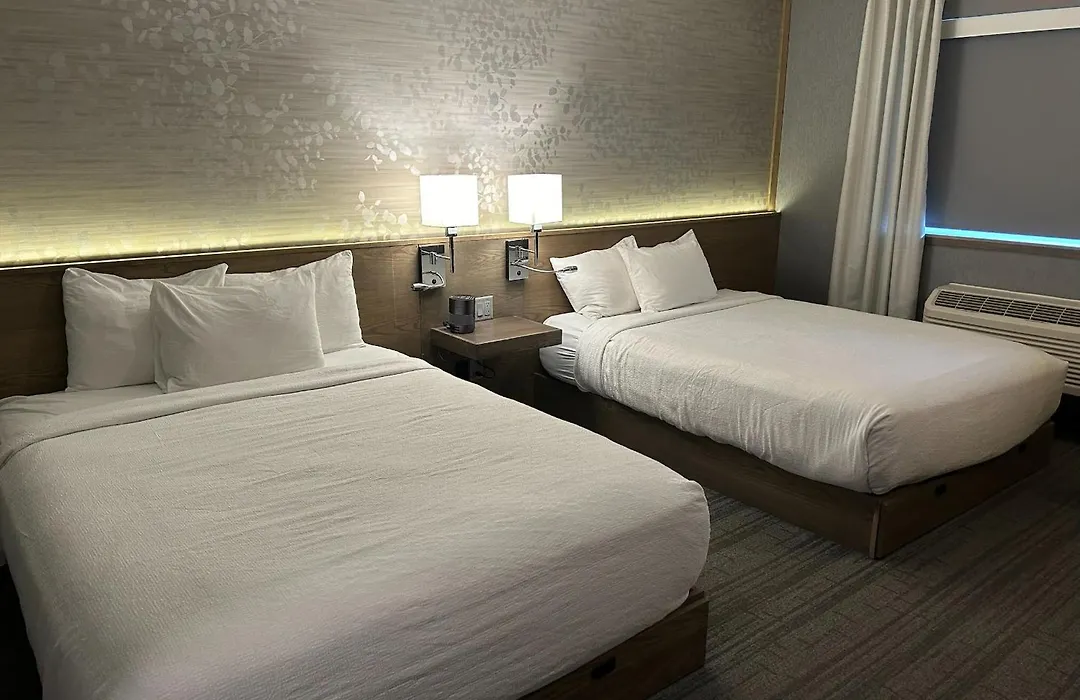Voco Niagara Falls - The Cadence By Ihg-1