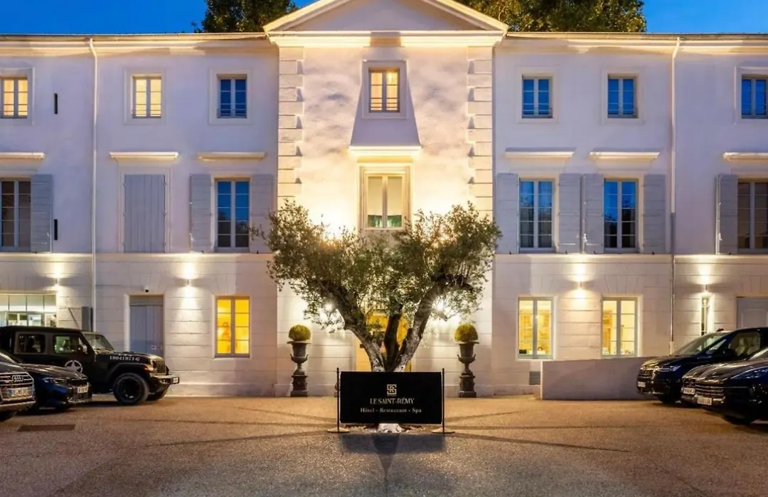 Hotel Le Saint Remy & Spa-1
