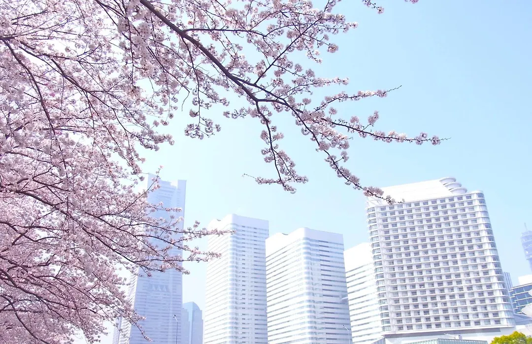 The Yokohama Bay Hotel Tokyu-1