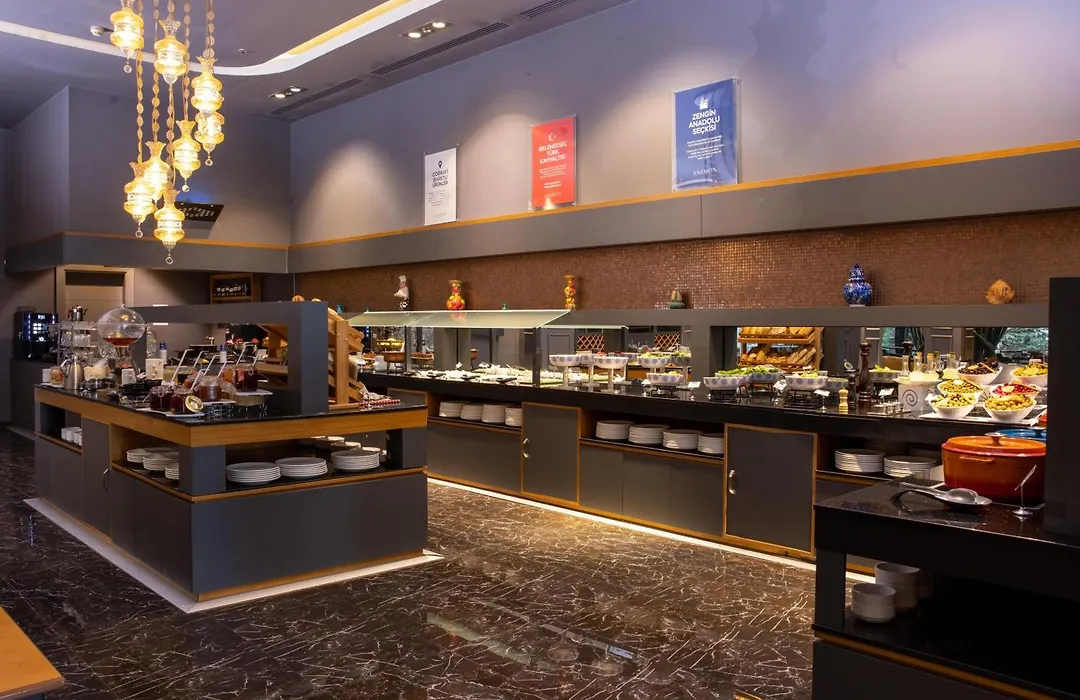 Anemon Grand Konya Otel-1