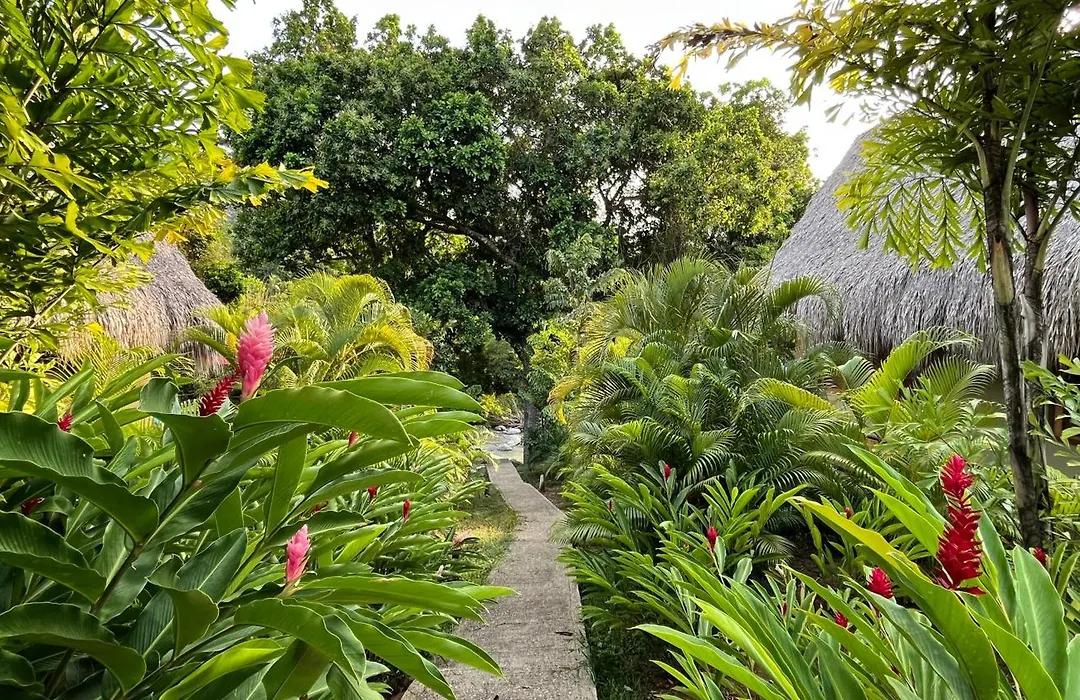 Senda Watapuy Boutique Hotel Tayrona-1