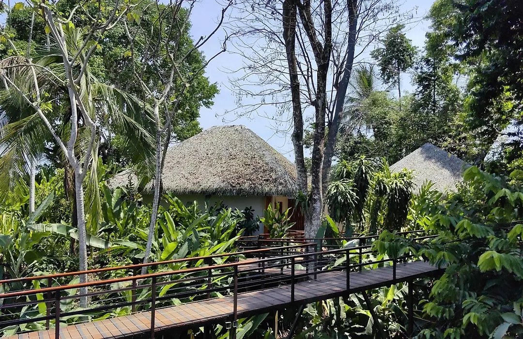 Lapa Rios Lodge-1