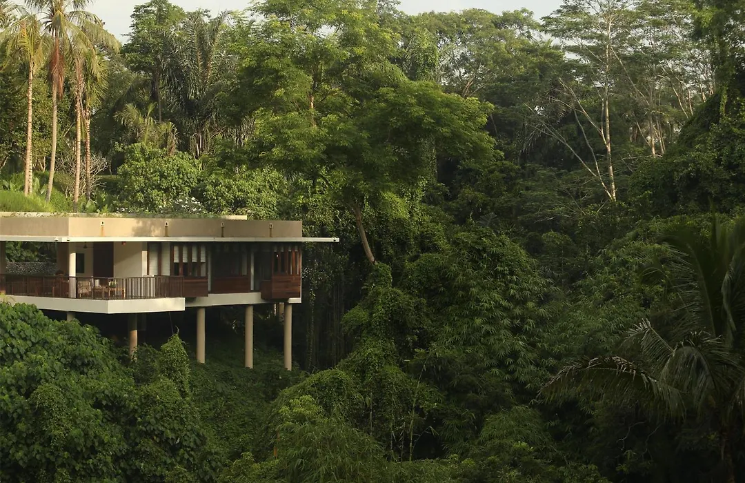 Alila Ubud-1