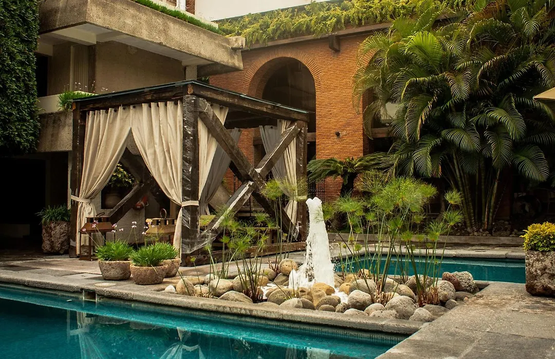 Nehotel Nueva Estancia-1