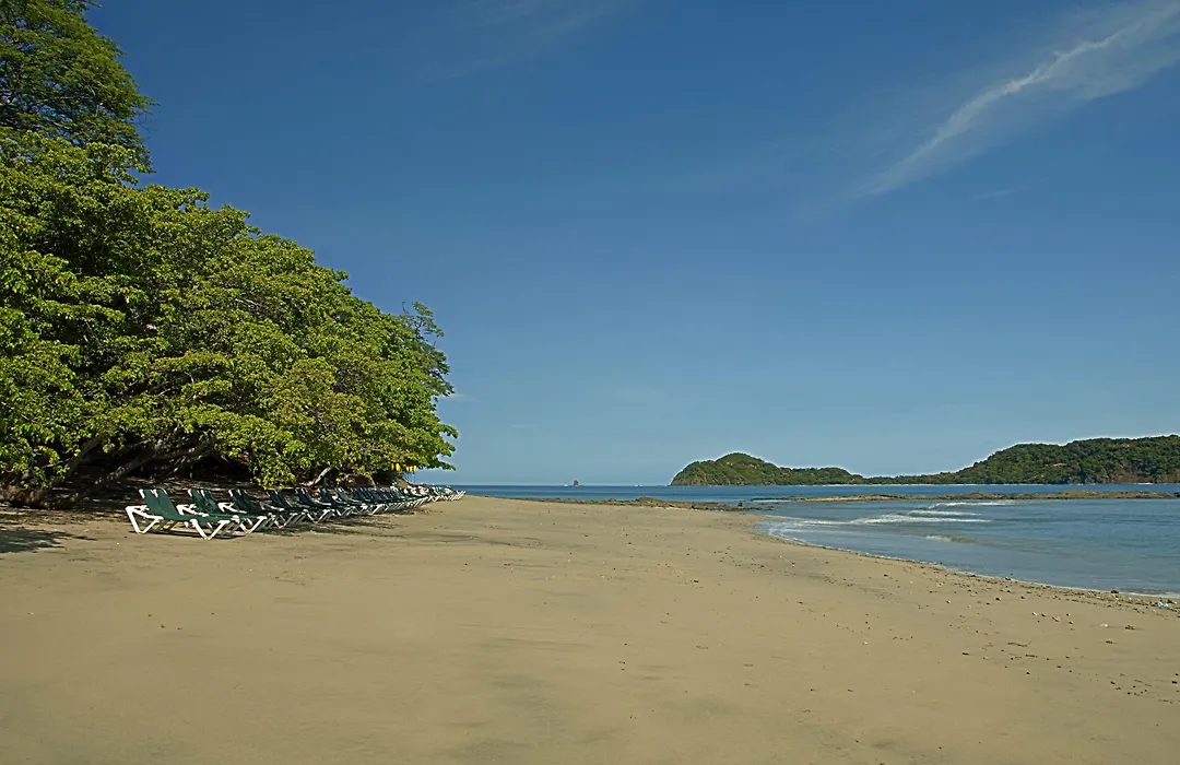 Occidental Papagayo (Adults Only)-1
