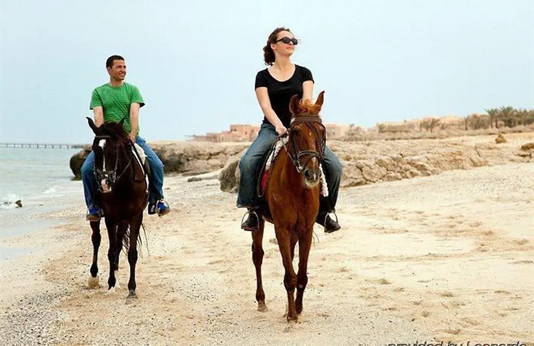 Swissotel Resort El Quseir-1