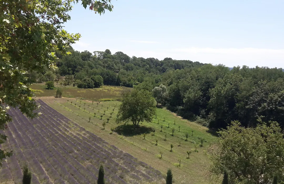 Le Couvent Des Minimes, Un Hotel & Spa L'Occitane En Provence-1