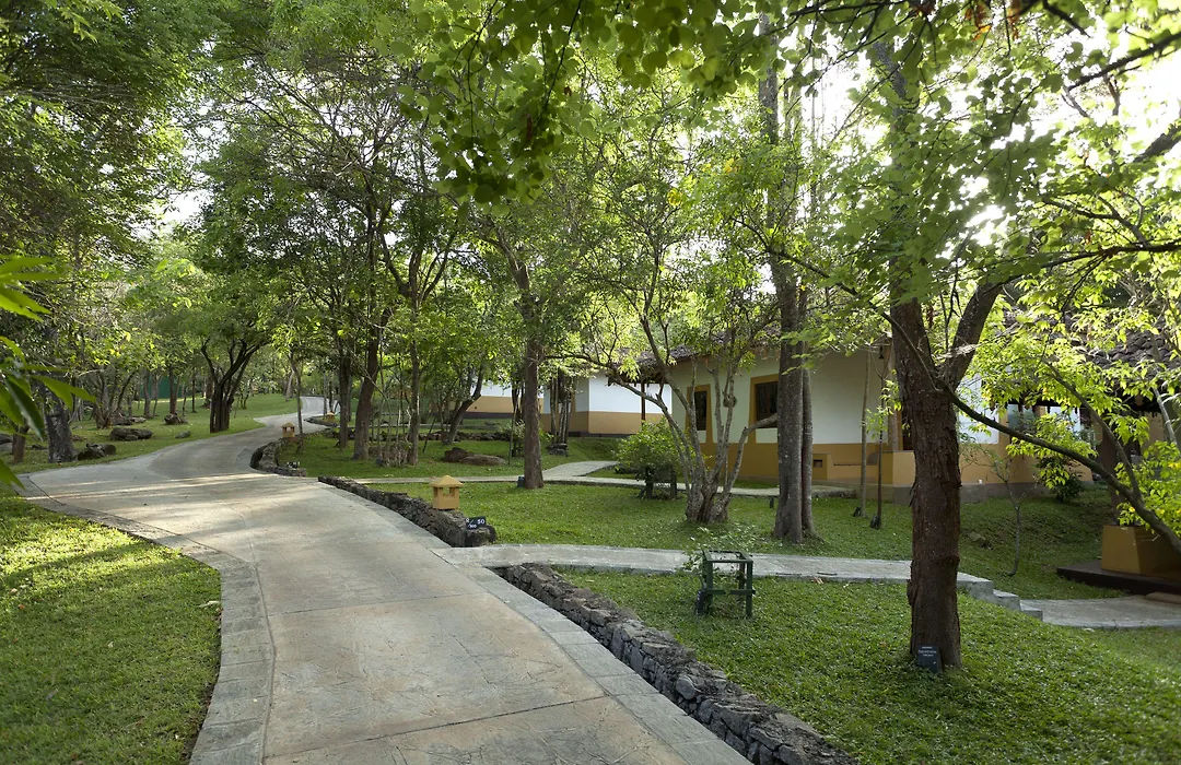 Amaya Lake Dambulla-1