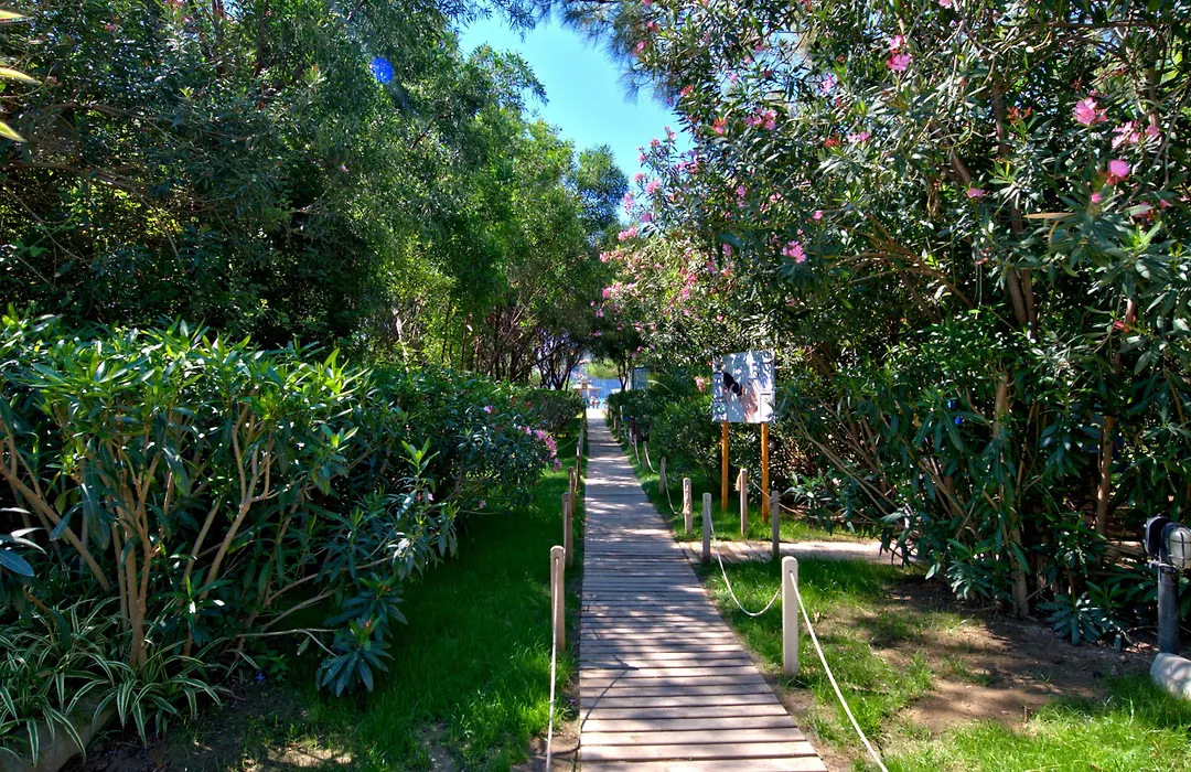 Tui Magic Life Sarigerme-1