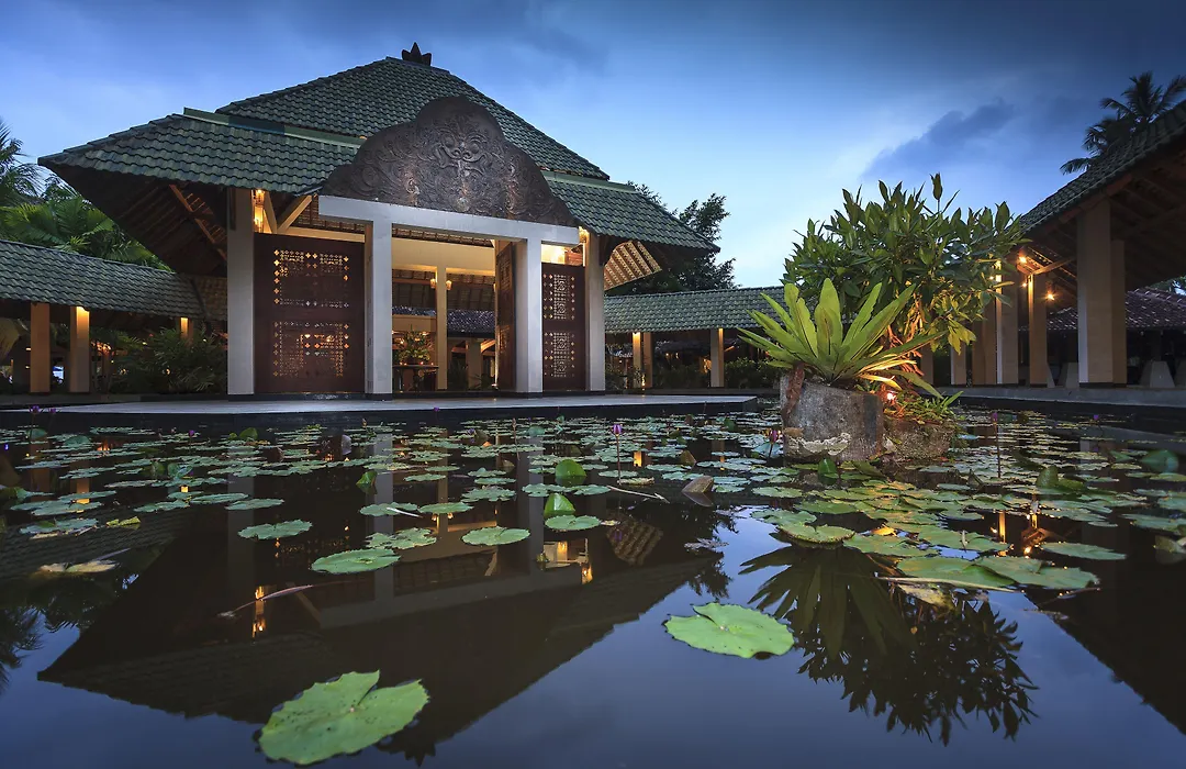 The Palms-1