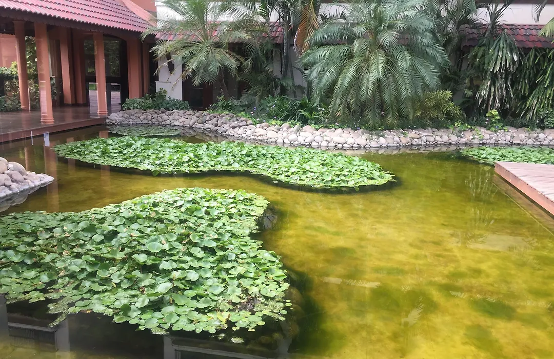 Madhubhan Resort & Spa-1