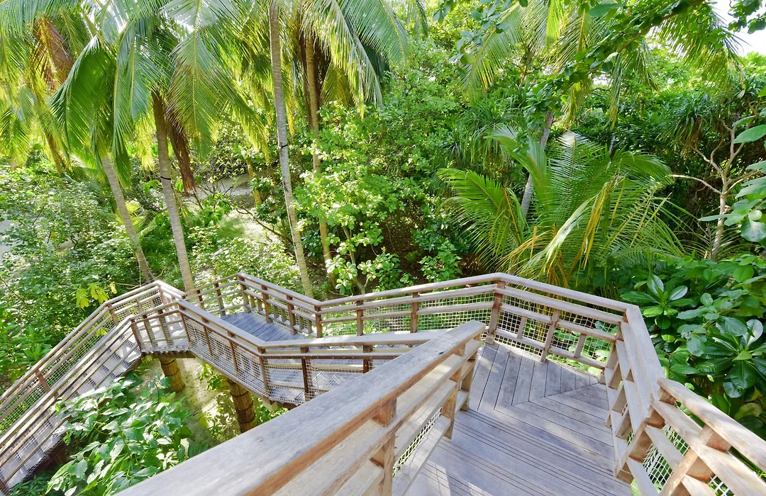 Amilla Maldives-1