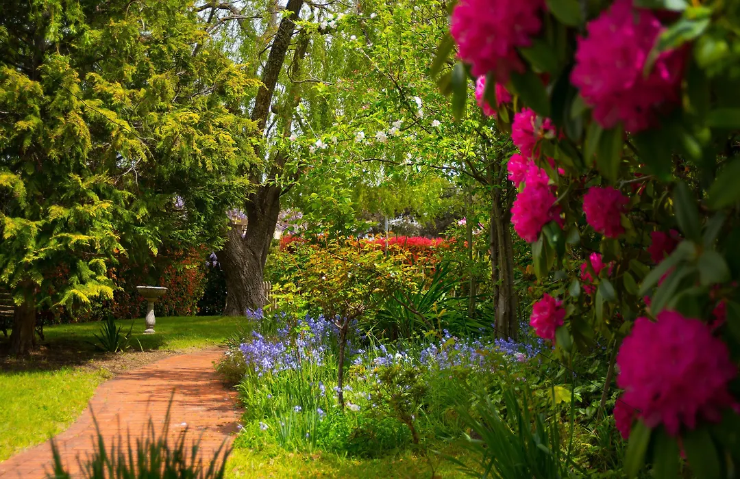 The Dudley Boutique Hotel-1