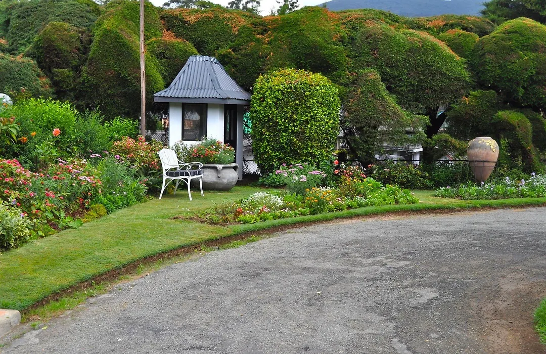 Royal Cocoon - Nuwara Eliya-1