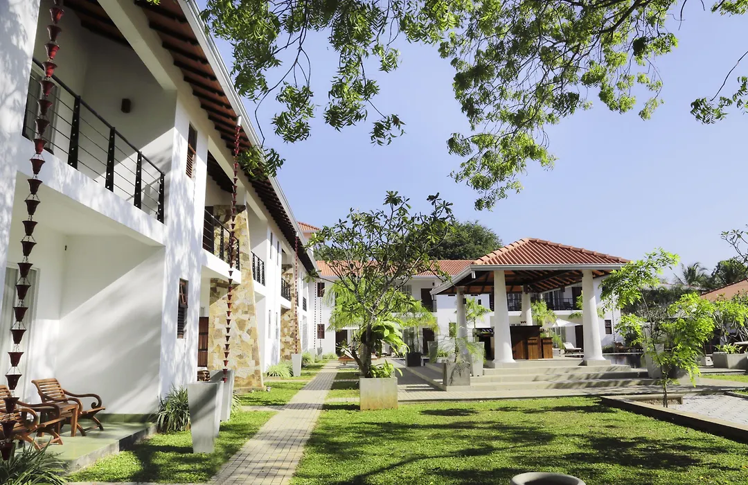 Hotel Tamarind Tree-1