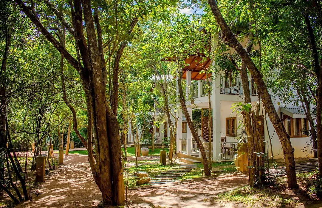 Amaara Forest Hotel Sigiriya-1