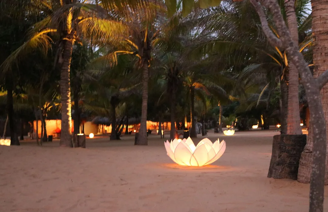 Dolphin Beach Resort-1