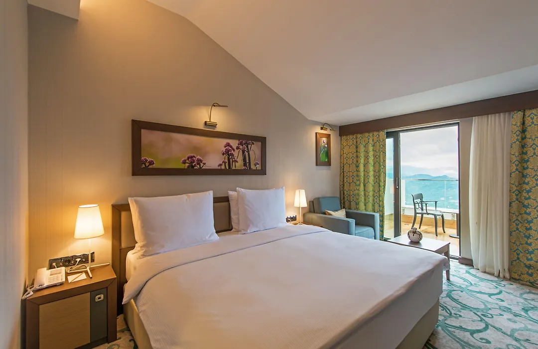 Radisson Blu Hotel, Ordu-1