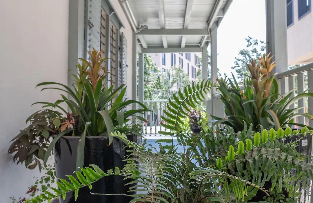 The Drisco Hotel Tel Aviv - Relais & Chateaux (Adults Only)-1