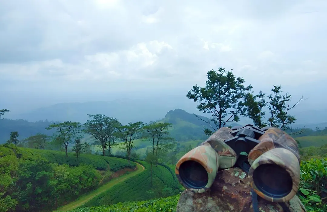 Simpson'S Forest - Luxury Boutique Resort & Spa - Kandy-1