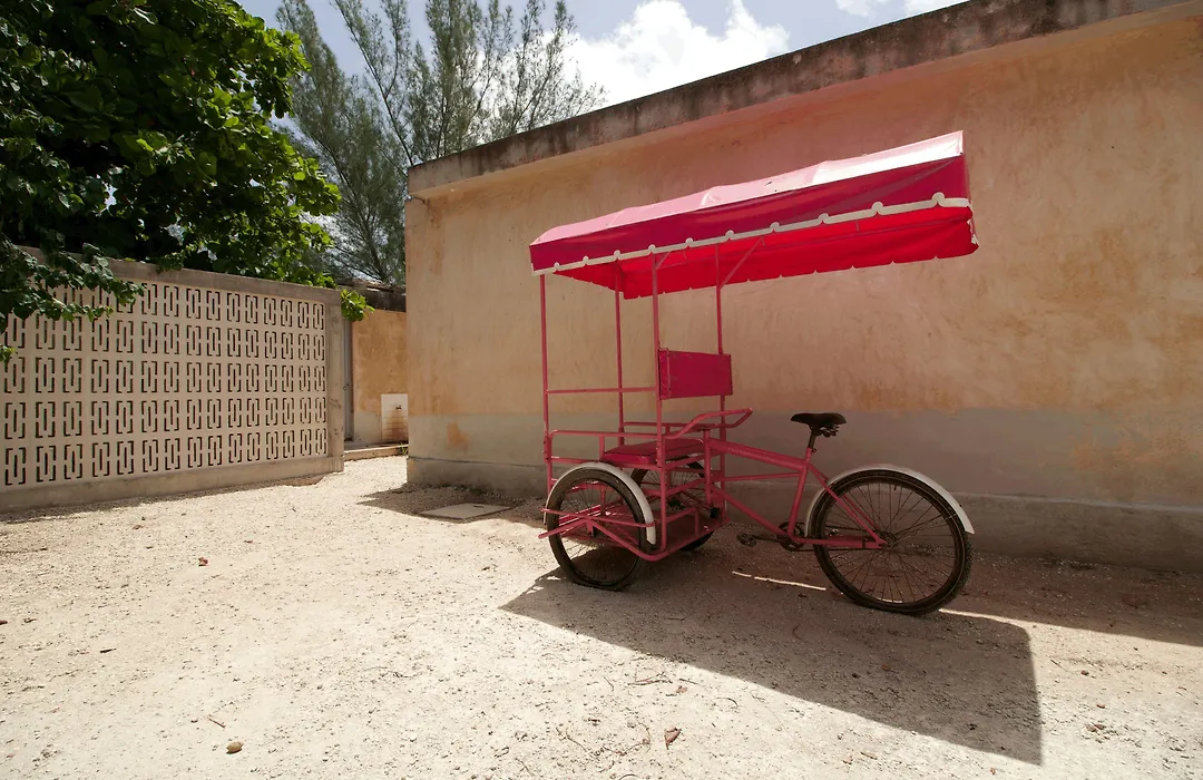 Club de Patos-1