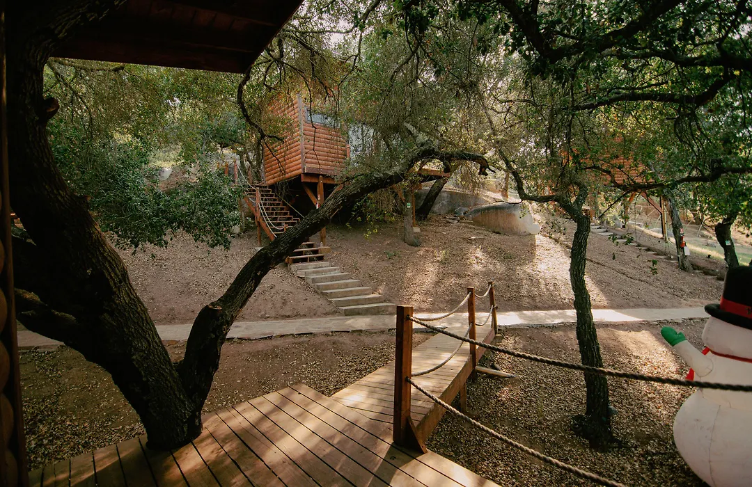 Boskenvid Hotel - Romantic Treehouses & Skypool-1